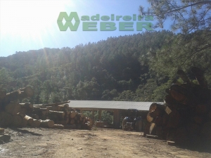 tb_1455544274